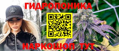 мдпв Аргун