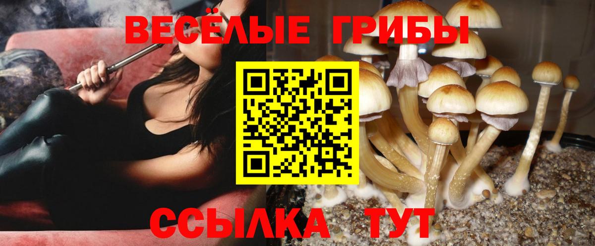 Богородицк  МАРИХУАНА  Мефедрон   КОКАИН  Вход с VPN  ГАШ  МДМА  LSD-25 